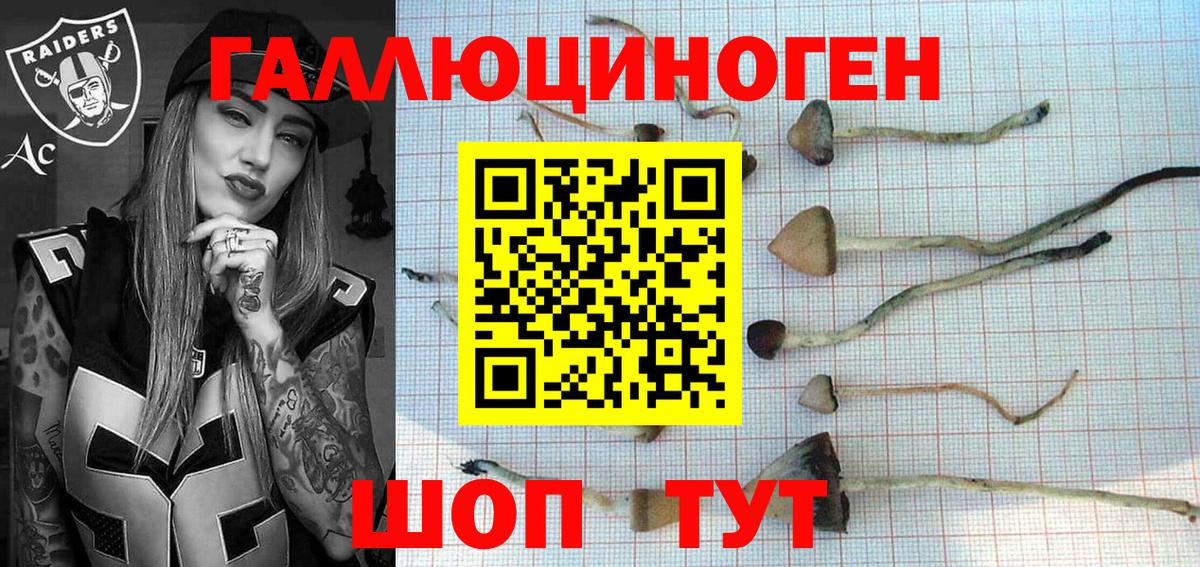 Спасск-Дальний  Галлюциногенные грибы мицелий  магазин  наркотиков  Вход с VPN  Псилоцибиновые грибы Magic Shrooms 